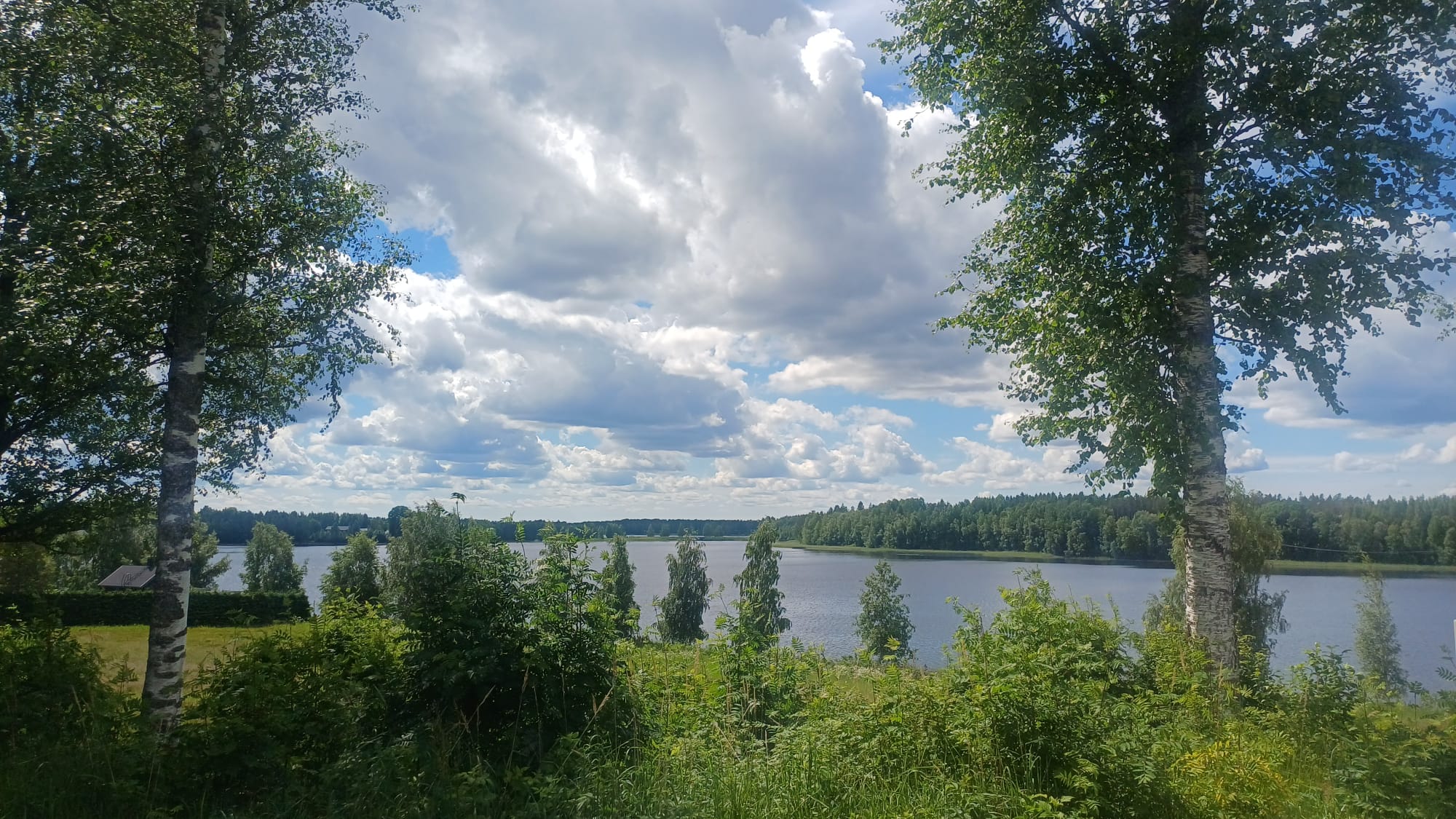 Kesäinen järvimaisema